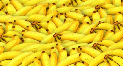 ¡Dulce y natural! Conoce los magníficos beneficios que el plátano tiene para tu salud