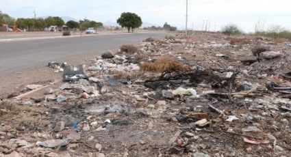 ¡Viven en 'montañas' de basura!: Habitantes de la Villas del Trigo denuncian basurero clandestino