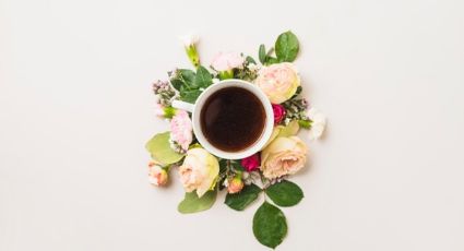 Encuentra la calma con los beneficios que el té de 12 flores tiene para ti