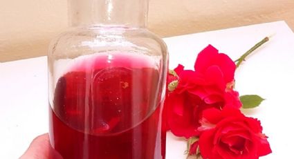 ¡Aprovecha el poder de las flores! Conoce los beneficios que el agua de rosas tiene para ti