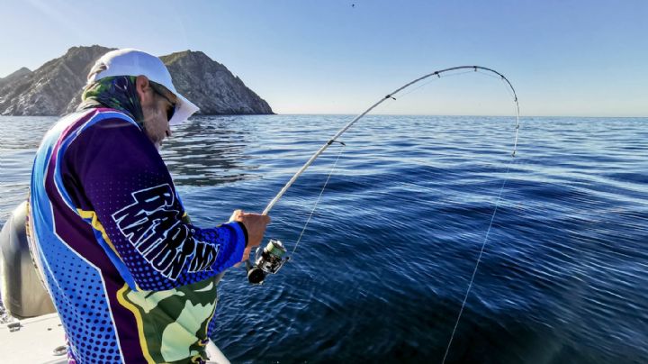 Pesca deportiva en Guaymas, una actividad con potencial sin promoción adecuada