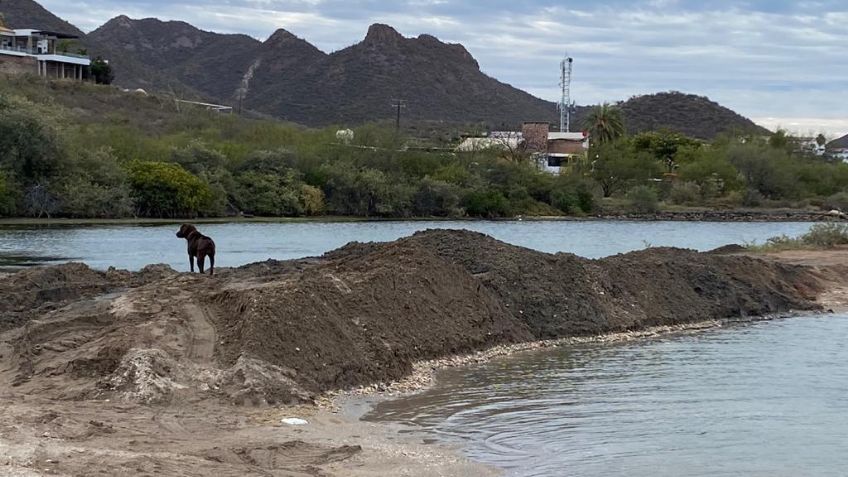 Vecinos denuncian Ecocidio en playas de Miramar en Guaymas