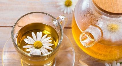 Alerta: Tomar té de manzanilla en exceso puede tener algunos efectos adversos