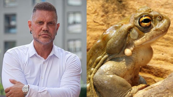 Procesan a 'Nacho Vidal' por homicidio en extraño ritual con el sapo del desierto sonorense