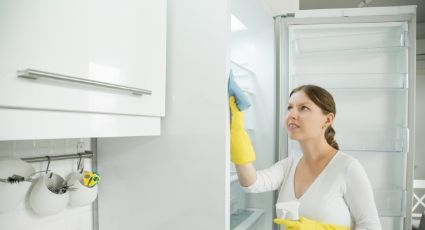 ¡No lo tomes a la ligera! Estos consejos te ayudarán a limpiar con éxito tu refrigerador