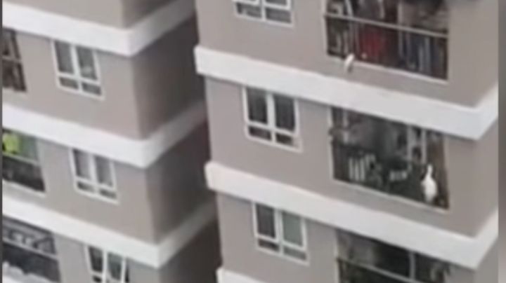 VIDEO: ¡De milagro! Hombre rescata a bebé de 2 años que cayó del piso 12 de un edificio en Vietnam