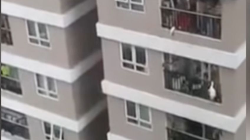 VIDEO: ¡De milagro! Hombre rescata a bebé de 2 años que cayó del piso 12 de un edificio en Vietnam