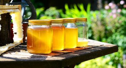 ¿Es mejor la miel que el azúcar? Descubre la verdad detrás de este recurrente mito