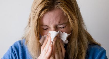 ¡Cuida tu salud! Descubre cuáles son los posibles síntomas de la alergia de ácaros