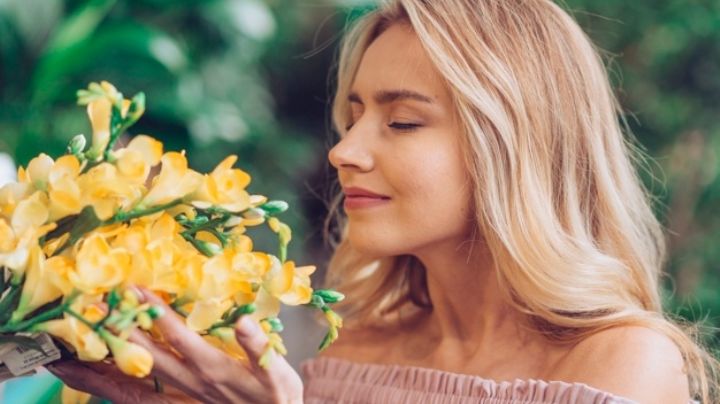 ¿Cuestan más que una casa? Asómbrate con algunos datos curiosos de las flores