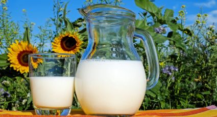 Esta leche de semillas de calabaza es ideal para gente fitness e intolerantes a la lactosa