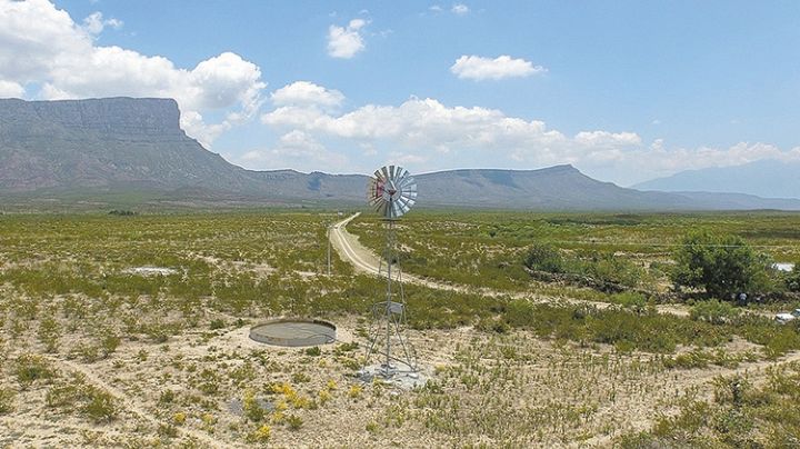 Sonora dentro de proyectos productivos que fomenta Sader en zonas áridas y semiáridas