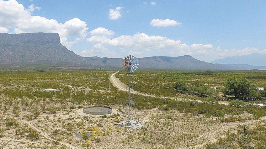 Sonora dentro de proyectos productivos que fomenta Sader en zonas áridas y semiáridas