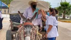 ¡Increíble! Montado en su burro; así llegó Don Gonzalo a recibir vacuna contra Covid-19