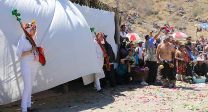 Comunidad Yaqui bajo la lupa ante fiestas de 'Semana Santa'