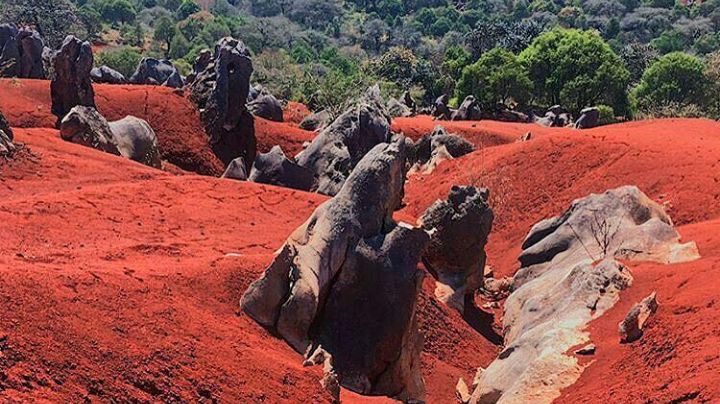 ¡No es Marte, sino México! Descubre estas increíbles dunas de arena color rojo