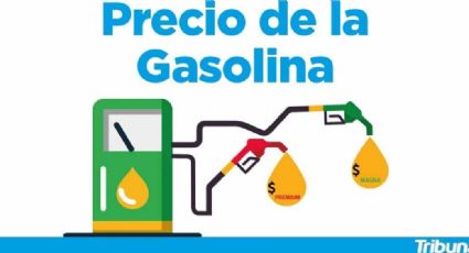 Así amaneció el precio de la gasolina en este domingo 28 de marzo del 2021