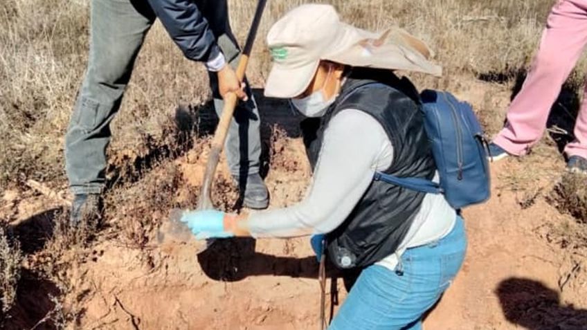 Madres Buscadoras de Sonora hallan huesos humanos calcinados en Guaymas; habría una mujer