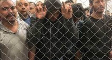 Inmigrantes rusos, iraquíes y sirios llegan a México para cruzar ilegalmente a EU