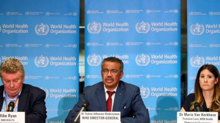 ¡Impactante hallazgo! La OMS y China teorizan cuál sería el origen del Covid-19