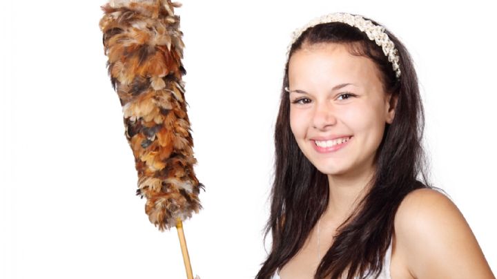 ¡No más dudas! Así puedes registrar a una trabajadora del hogar en el IMSS