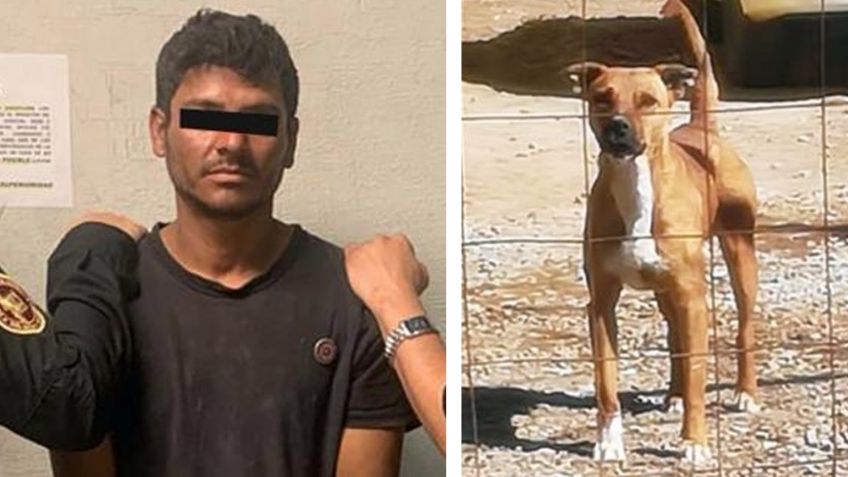 Justicia en Sonora: Cae Carlos Enrique, sujeto que macheteó y prendió fuego al perrito Homero