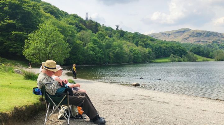 Tarjetón IMSS: Conoce para qué sirve esta herramienta y por qué debes aprovecharla de una vez