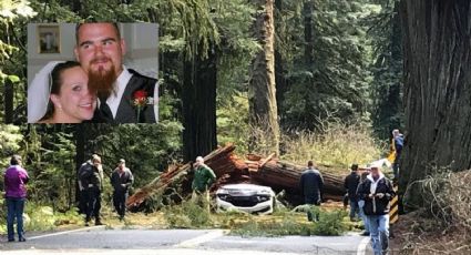 Fatal accidente: Pareja muere aplastada por un árbol; dejaron a cinco niños huérfanos