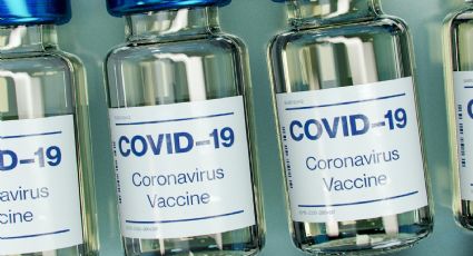 ¡No más inyecciones! Trabajan en vacuna contra Covid-19 en forma de parche