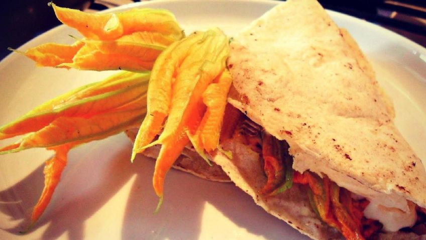 ¡Calma tu antojo! Prepara unas deliciosas quesadillas de flor de calabaza con quesillo