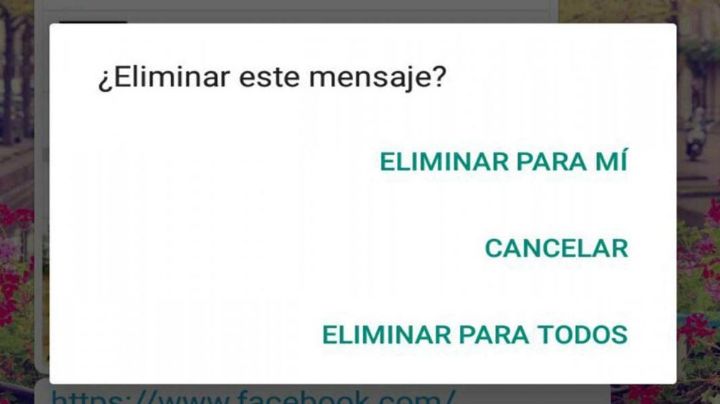 ¿Mandaste un mensaje que no querías? Este es el tiempo que da WhatsApp para eliminarlo