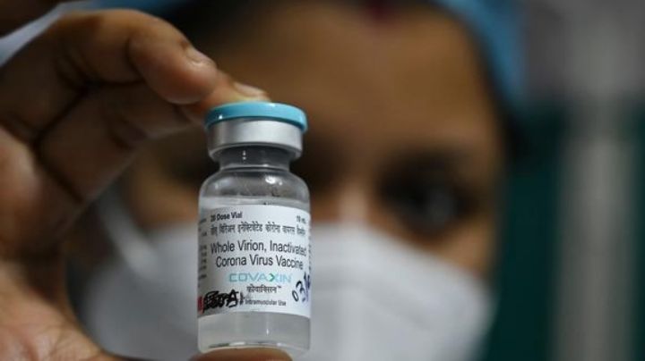 Pese a rechazo de la FDA, India informará resultados de los ensayos clínicos de la vacuna Covaxin