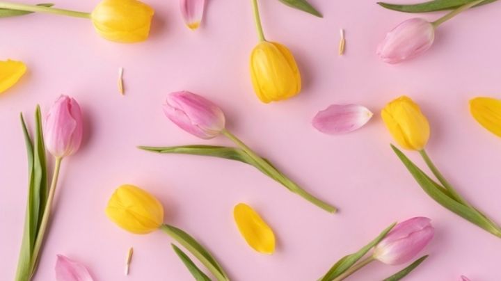 Descubre los significados de las flores por su color y regálalas según sea la ocasión