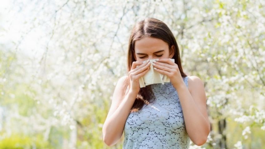 ¿Se termino tu Avapena? Estos son otros medicamentos que controlan las alergias