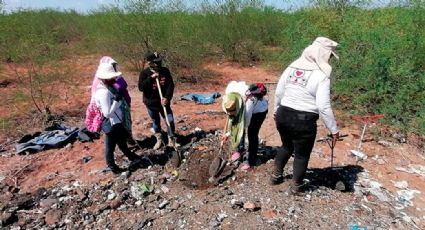 Sonora: Descubren nuevos restos humanos calcinados y enterrados en predio de Guaymas