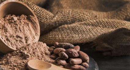 Con el sabor más saludable, el cacao mejoraría la salud del corazón