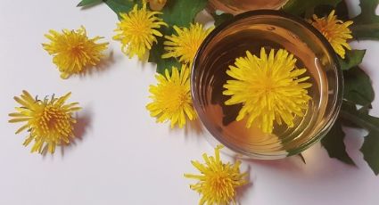 Cuida de tu salud y prepara este delicioso té de flores de diente de león
