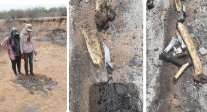 Localizan fosa clandestina con seis cadáveres calcinados en Guaymas; habría una mujer