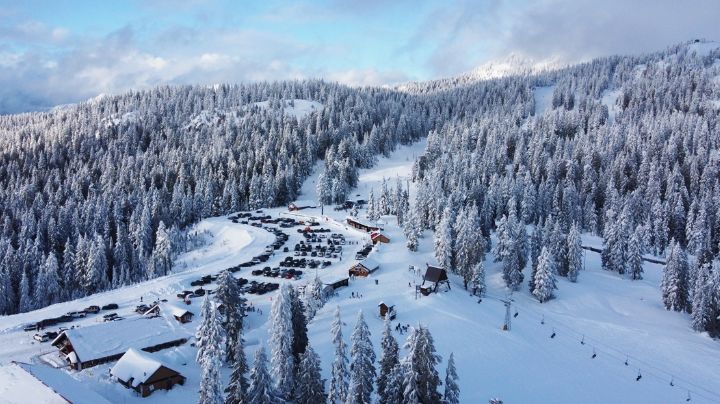 Niño de 12 años muere en un extraño accidente cuando esquiaba; chocó contra un árbol