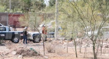 Otro día de terror para Cajeme: Encuentran hielera con restos humanos en Villa California