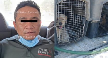 ¡De terror! Hombre guarda restos de perro en su patio; le divertía descuartizar animales