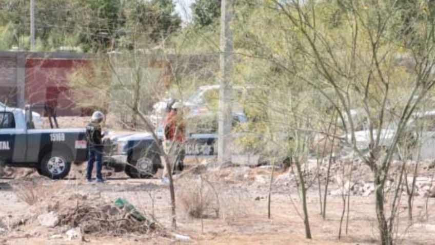 Otro día de terror para Cajeme: Encuentran hielera con restos humanos en Villa California