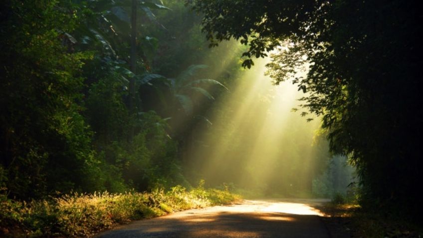 Reflexiona sobre la vida con estas frases motivadoras inspiradas en paisajes hermosos