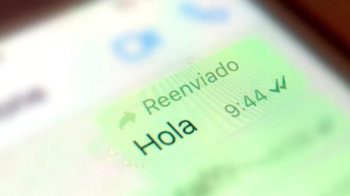 ¿Te molesta el 'Reenviado' de WhatsApp? Este truco ayuda a evitarlo y que no te cachen