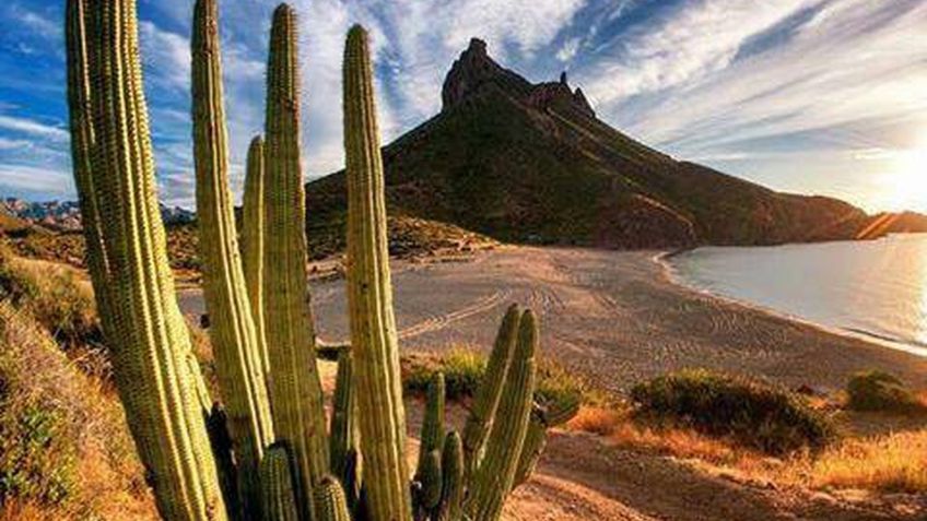 ¿Lloverá en Sonora este viernes 20 de agosto? Aquí el pronóstico del clima de la Conagua
