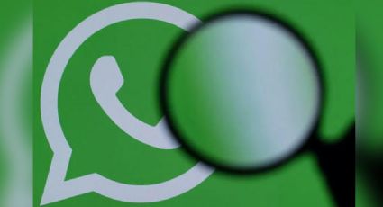¡Sorprendente! WhatsApp cuenta con dos buscadores internos y estas son sus funciones