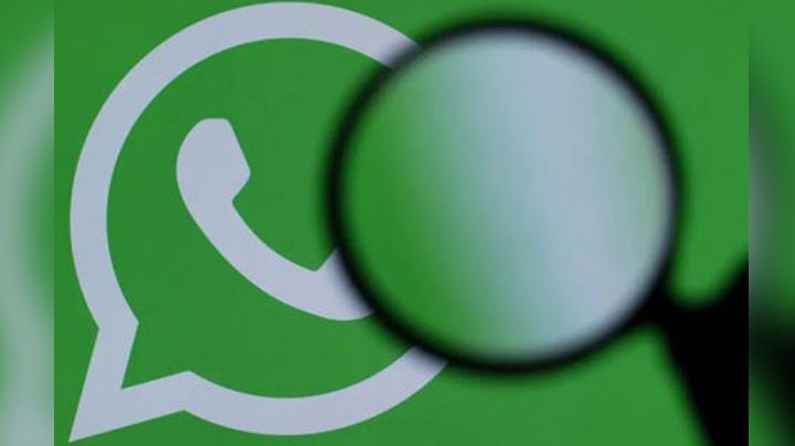 ¡Sorprendente! WhatsApp cuenta con dos buscadores internos y estas son sus funciones
