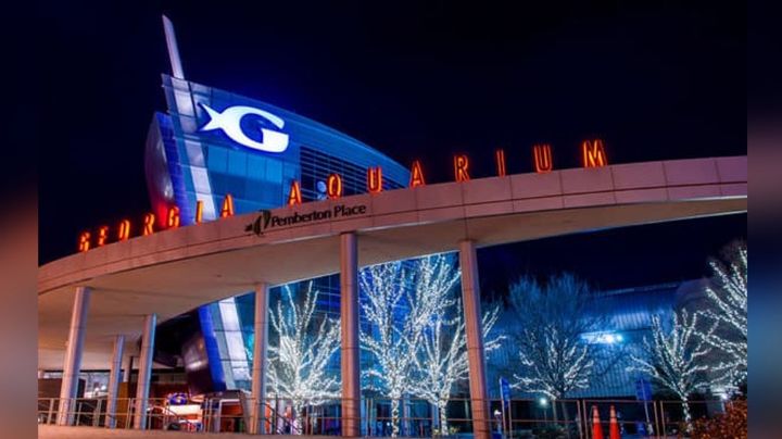 El Covid-19 llega a un acuario: Estos animales son los afectados; tienen síntomas respiratorios