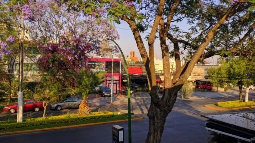 Una casa de seguridad, dos muertos y 7 secuestrados: Lo que se sabe de la balacera en Jalisco