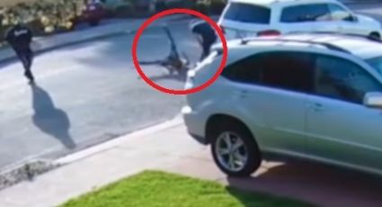 VIDEO: ¡Al suelo! Niño ladrón recibe golpiza tras fallido intento de robo a mano armada